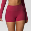img_023-1.jpg High-Waist Yoga Shorts – Quick-Dry Seamless Gym Shorts (7101 Series) OEM Wholesale